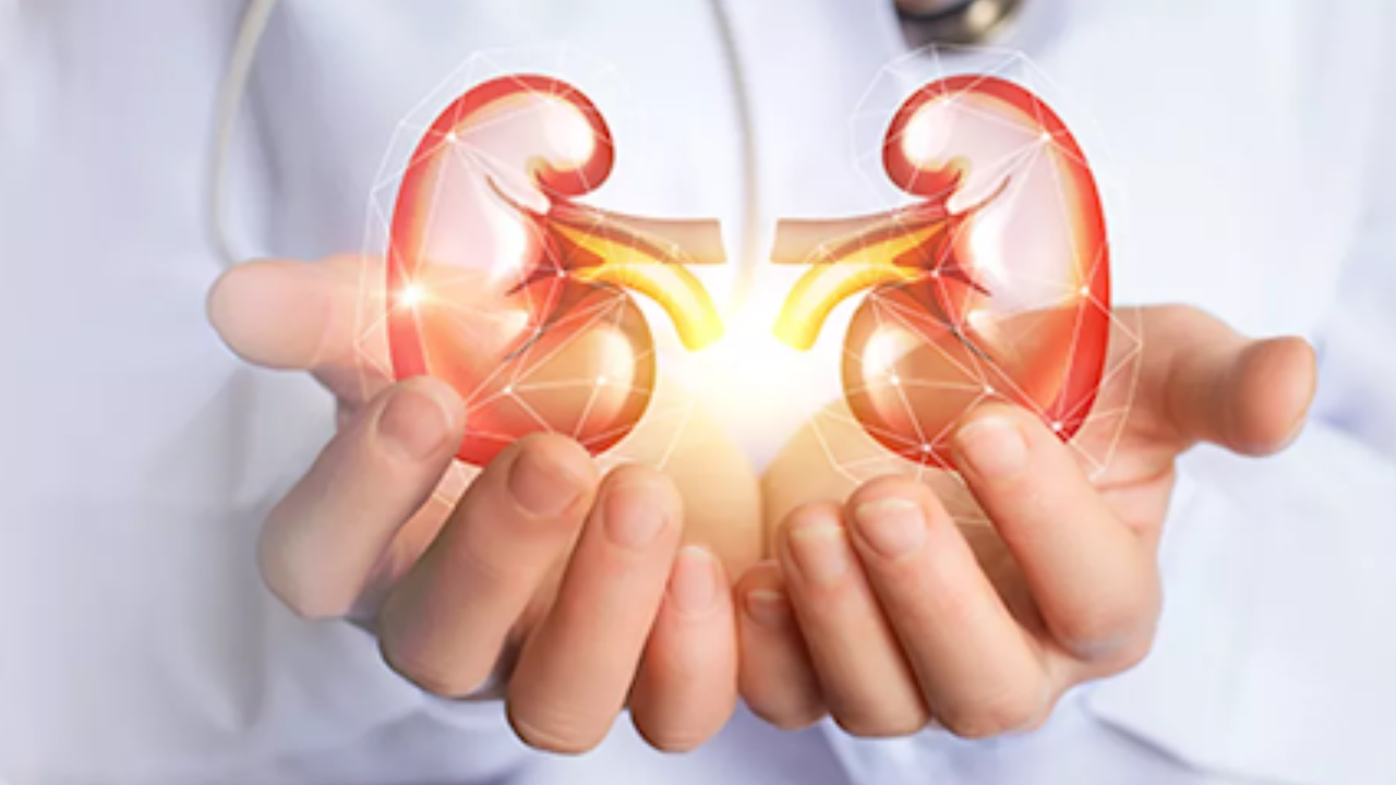 kidney-transplantation