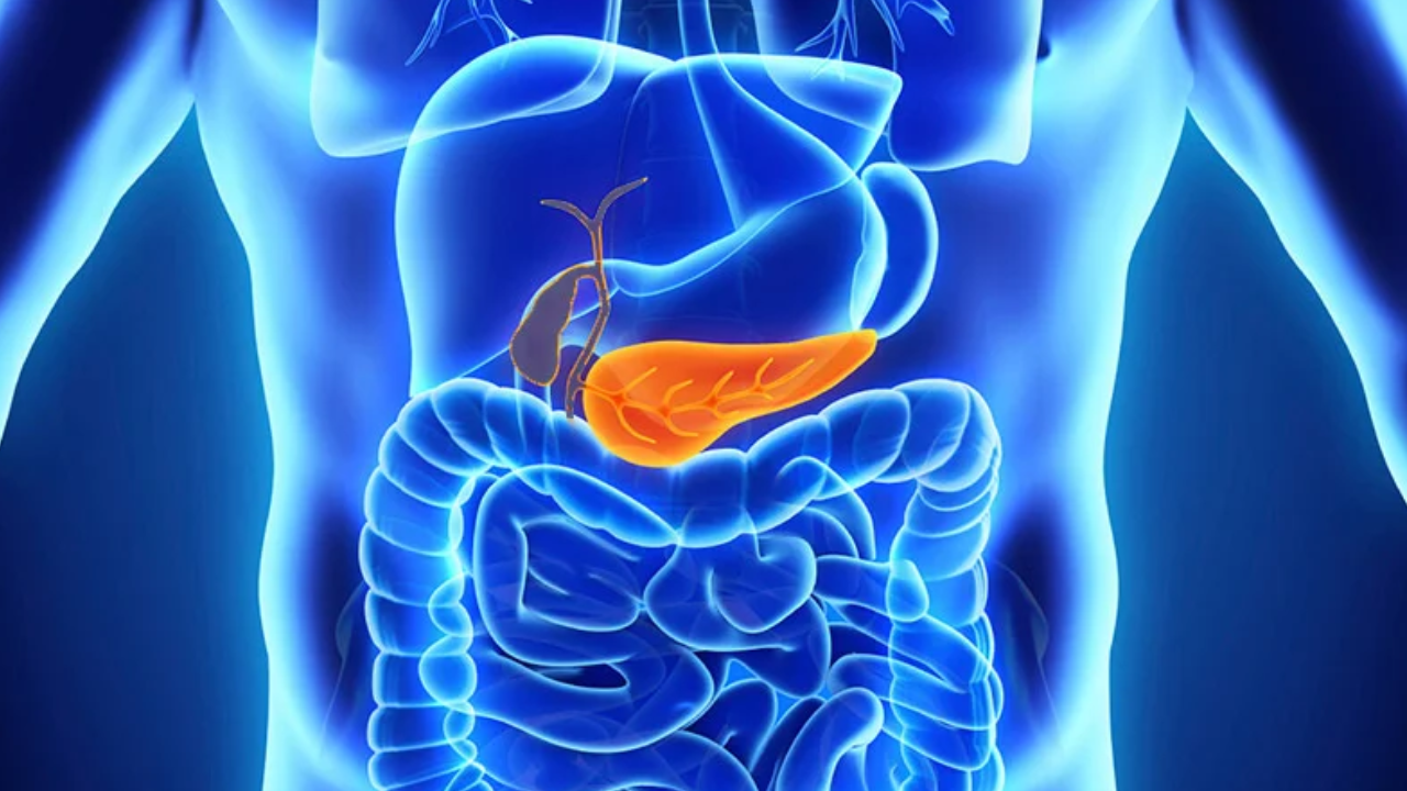 pancreatology